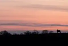 Zdjęcia: Mazurska wiosna na zdjęciach Janka Olchówki - zdjęcie 20