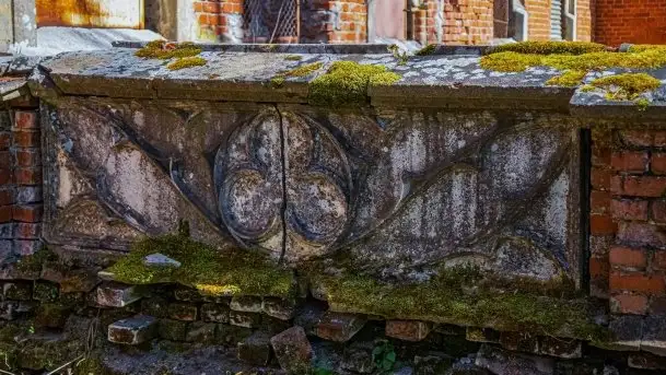 Zdjęcia: Pałac w Prośnie – monumentalna, romantyczna i tajemnicza ruina - zdjęcie 9