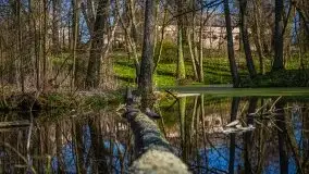 Zdjęcia: Pałac w Skandławkach – do kupienia romantyczna pozostałość dawnych Mazur - zdjęcie 45