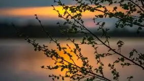 Zachód słońca nad jeziorem Tajty, 29 kwietnia 2020r. - zdjęcie 22