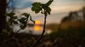 Zachód słońca nad jeziorem Tajty, 29 kwietnia 2020r. - zdjęcie 12