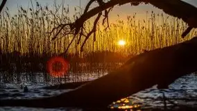 Zachód słońca nad jeziorem Ublik Wielki, maj 2020 r. - zdjęcie 1