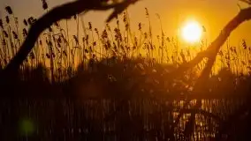 Zachód słońca nad jeziorem Ublik Wielki, maj 2020 r. - zdjęcie 15