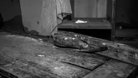 Cień historii sprzed kilkudziesięciu lat w jednym z pałacyków - zdjęcie 52