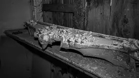 Cień historii sprzed kilkudziesięciu lat w jednym z pałacyków - zdjęcie 49