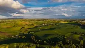 Złoto w kolorach słońca i rzepaku, maj 2020.r - zdjęcie 19