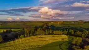 Złoto w kolorach słońca i rzepaku, maj 2020.r - zdjęcie 4