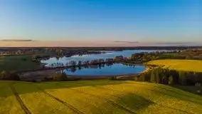 Złoto w kolorach słońca i rzepaku, maj 2020.r - zdjęcie 15