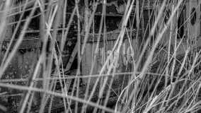 Niemy świadek mazurskich jezior spoczywa koło Rynu - zdjęcie 32