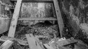 Niemy świadek mazurskich jezior spoczywa koło Rynu - zdjęcie 73