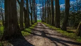 Pałacyk w Rodelach - kolejny świadek historii - zdjęcie 18