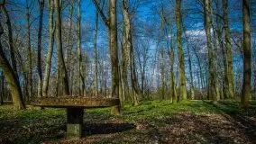 Pałacyk w Rodelach - kolejny świadek historii - zdjęcie 47