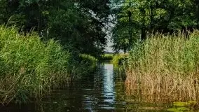 Zdjęcia: Poradnik - motorowodne Mazury - jeziora Święcajty, Stręgiel - zdjęcie 12