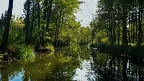 Zdjęcia: Poradnik - motorowodne Mazury - jeziora Święcajty, Stręgiel - zdjęcie 9