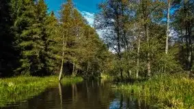 Zdjęcia: Poradnik - motorowodne Mazury - jeziora Święcajty, Stręgiel - zdjęcie 8