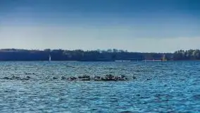 Zdjęcia: Poradnik - motorowodne Mazury - jezioro Dargin - zdjęcie 16