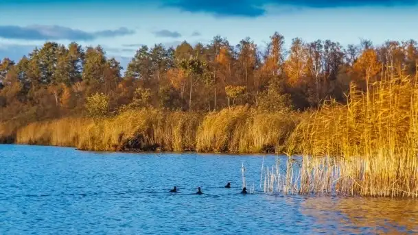 Zdjęcia: Poradnik - motorowodne Mazury - jezioro Dargin - zdjęcie 5