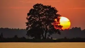 Zdjęcia: Poradnik - motorowodne Mazury - jeziora Dobskie i Łabap - zdjęcie 9