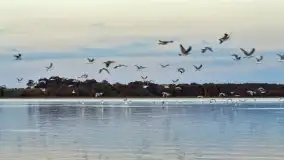 Zdjęcia: Poradnik - motorowodne Mazury - jeziora Dobskie i Łabap - zdjęcie 8