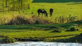Zdjęcia: Poradnik - motorowodne Mazury - jezioro Bełdany - zdjęcie 4