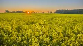 Wschód to nie tylko słońce, to także przejmująca cisza - zdjęcie 22