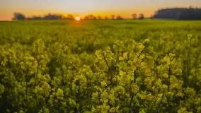 Wschód to nie tylko słońce, to także przejmująca cisza - zdjęcie 6