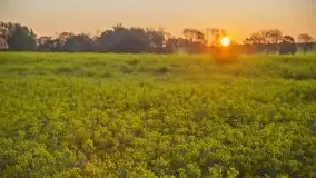 Wschód to nie tylko słońce, to także przejmująca cisza - zdjęcie 14