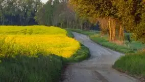 Wschód to nie tylko słońce, to także przejmująca cisza - zdjęcie 24