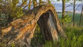 Wschód to nie tylko słońce, to także przejmująca cisza - zdjęcie 15