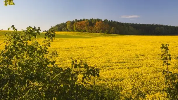 Wschód to nie tylko słońce, to także przejmująca cisza - zdjęcie 9