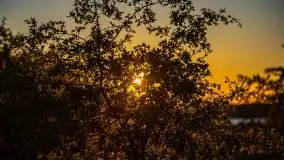 Zachód słońca widoczny z Grodzisko Święta Góra - zdjęcie 36