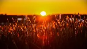 Zachód słońca widoczny z Grodzisko Święta Góra - zdjęcie 48