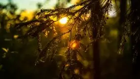 Kolejny raz magia zachodu słońca, okolice jez. Jagodne - zdjęcie 26