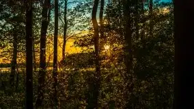 Kolejny raz magia zachodu słońca, okolice jez. Jagodne - zdjęcie 29