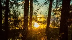 Kolejny raz magia zachodu słońca, okolice jez. Jagodne - zdjęcie 21