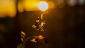 Kolejny raz magia zachodu słońca, okolice jez. Jagodne - zdjęcie 39