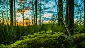 Kolejny raz magia zachodu słońca, okolice jez. Jagodne - zdjęcie 18