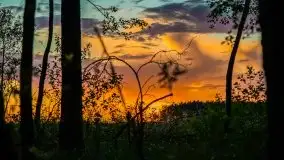 Kolejny raz magia zachodu słońca, okolice jez. Jagodne - zdjęcie 41