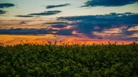 Kolejny raz magia zachodu słońca, okolice jez. Jagodne - zdjęcie 24