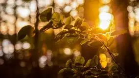 Zachód słońca w okolicy Kut i jeziora Czarna Kuta - zdjęcie 7