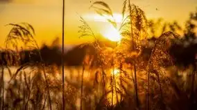 Zachód słońca w okolicy Kut i jeziora Czarna Kuta - zdjęcie 18