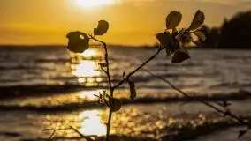 Wieczór nad Niegocinem i Grajewkiem - zdjęcie 27