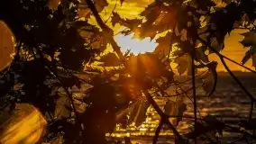 Wieczór nad Niegocinem i Grajewkiem - zdjęcie 37