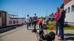 Regaty z okazji dnia dziecka - zdjęcie 30