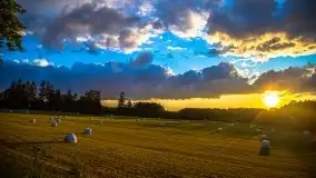 Magiczny, czerwcowy zachód słońca w Sztynorcie - zdjęcie 2