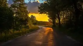 Magiczny, czerwcowy zachód słońca w Sztynorcie - zdjęcie 4