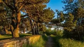 Wieczorne słońce nad jeziorem Święcajty - zdjęcie 8