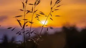 Zachód słońca w okolicach miejscowości Miłki - zdjęcie 10