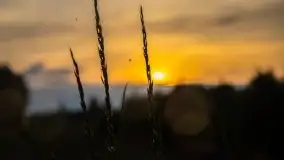 Zachód słońca w okolicach miejscowości Miłki - zdjęcie 19