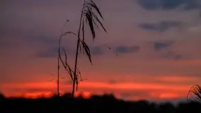 Zachód słońca w okolicach miejscowości Miłki - zdjęcie 22